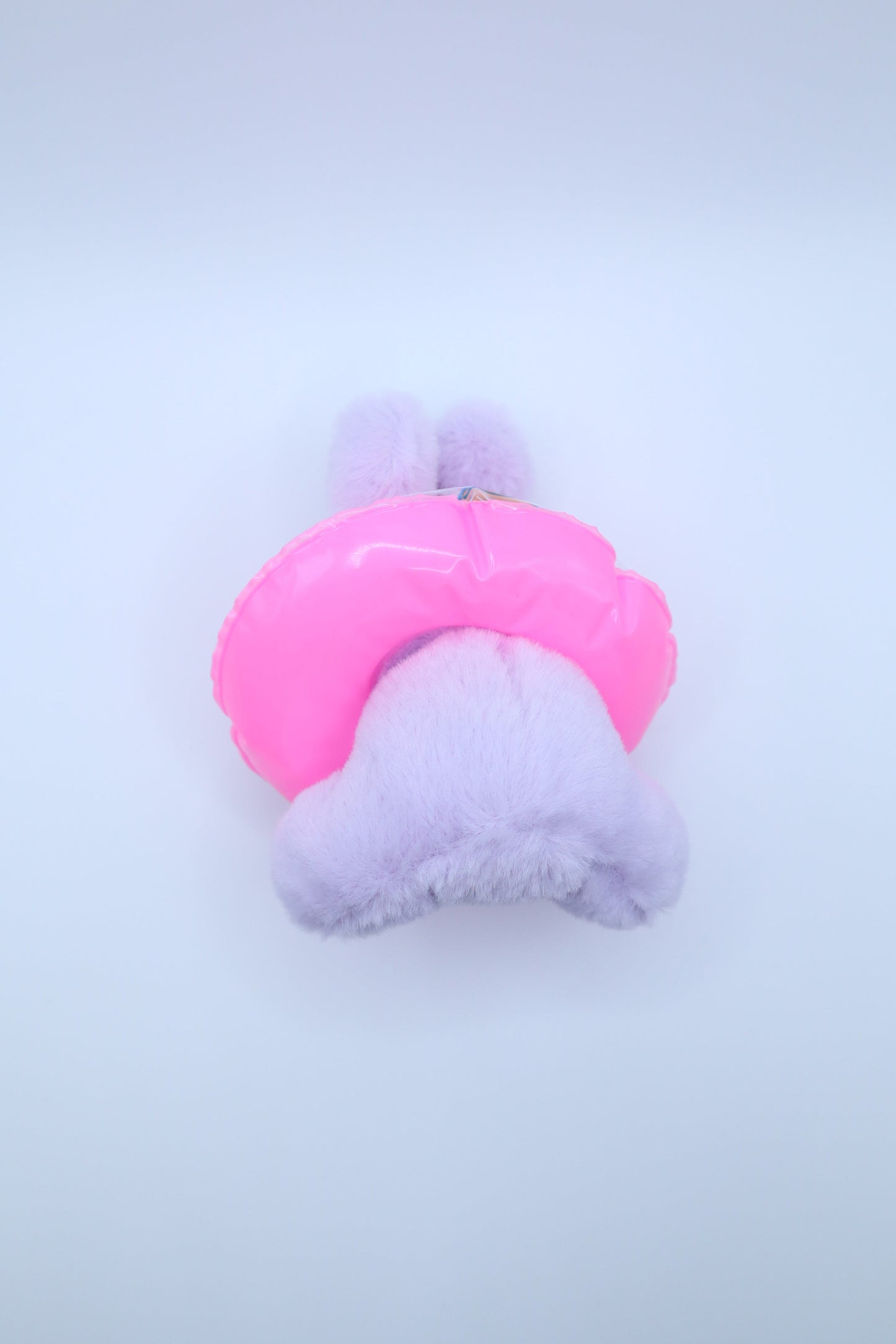 Tube Sunglasses Bunny Keychain