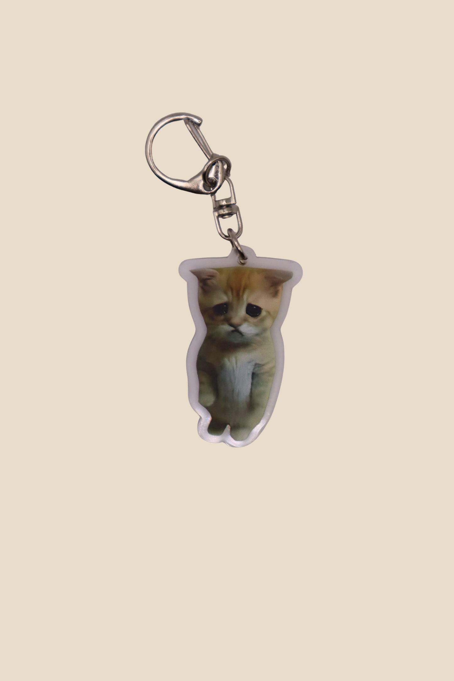Sad Cat Meme Keychain