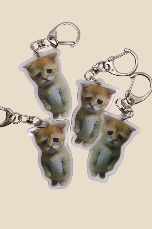 Sad Cat Meme Keychain