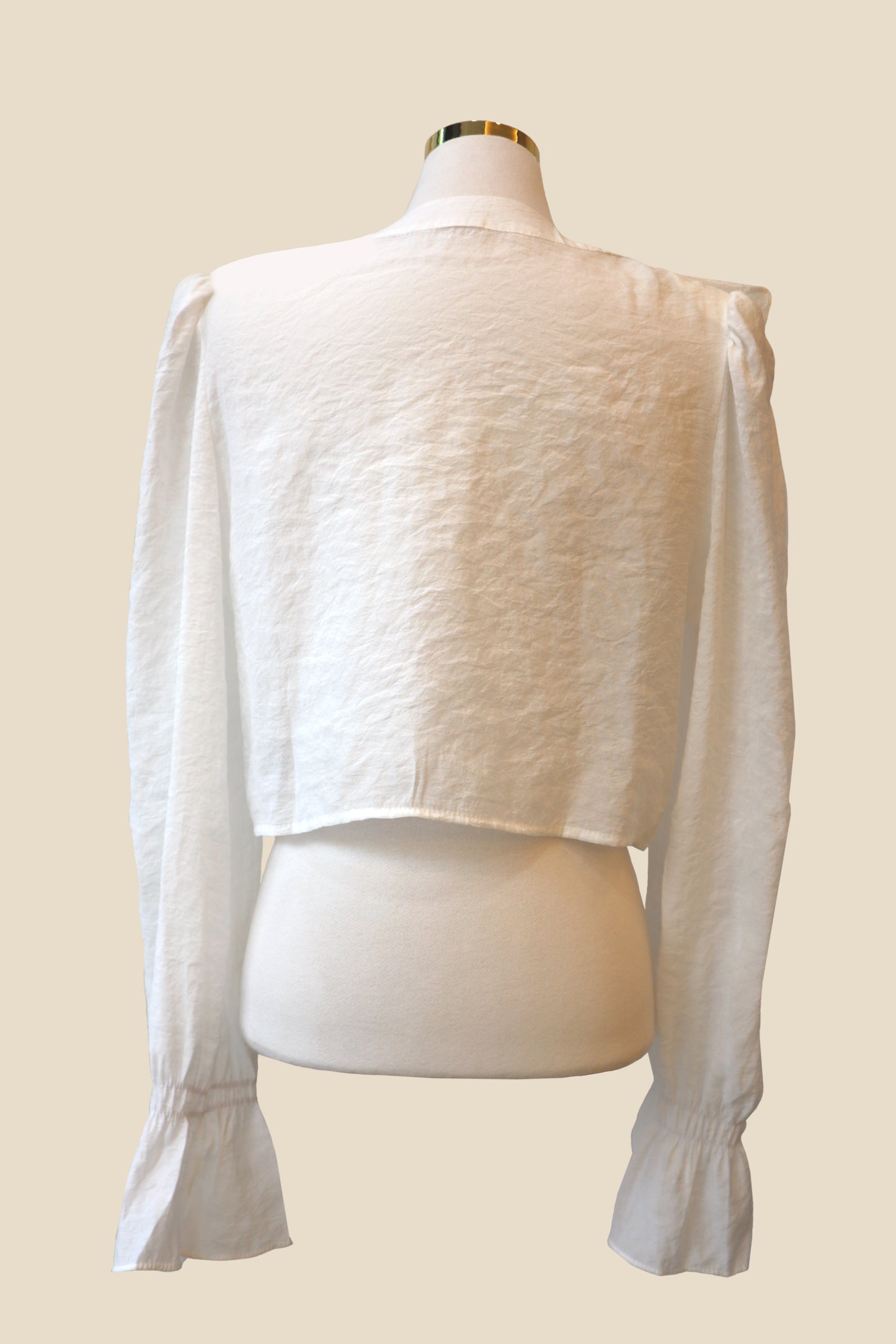 V-Ruffle Placket Blouse